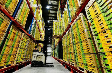 冷鏈倉(cāng)儲(chǔ)系統(tǒng)的上架策略有哪些？