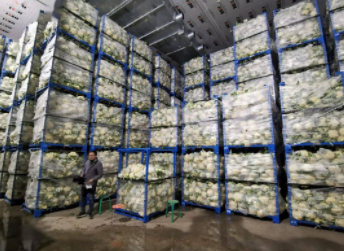 條碼智能倉(cāng)儲(chǔ)管理系統(tǒng)在農(nóng)產(chǎn)品倉(cāng)儲(chǔ)中的應(yīng)用與案例分析