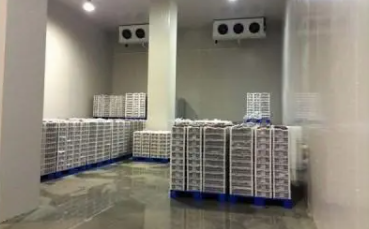 企業(yè)上線智能WMS冷庫(kù)管理系統(tǒng)前后對(duì)比：從傳統(tǒng)到智能化的蛻變